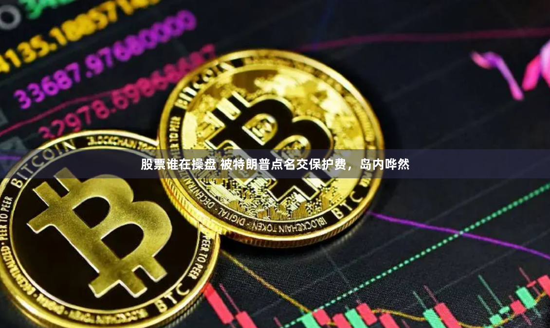股票谁在操盘 被特朗普点名交保护费，岛内哗然