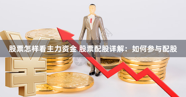 股票怎样看主力资金 股票配股详解：如何参与配股