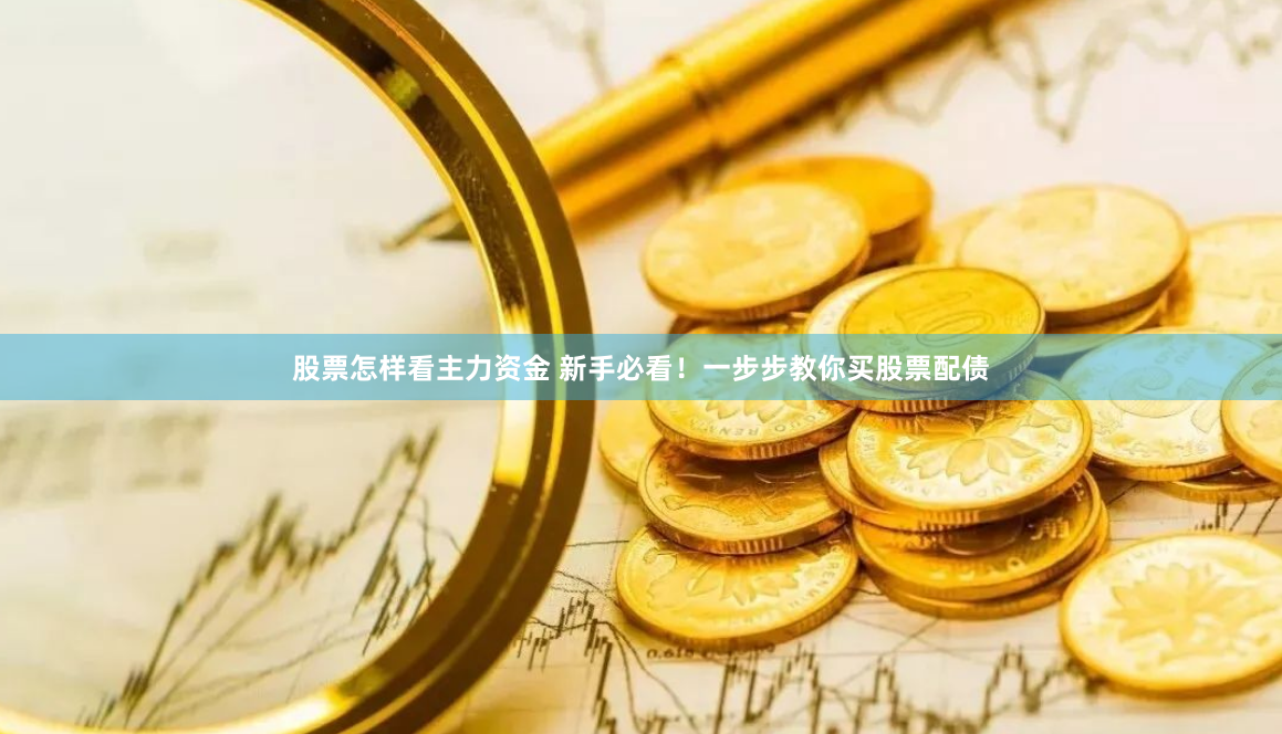 股票怎样看主力资金 新手必看!一步步教你买股票配债
