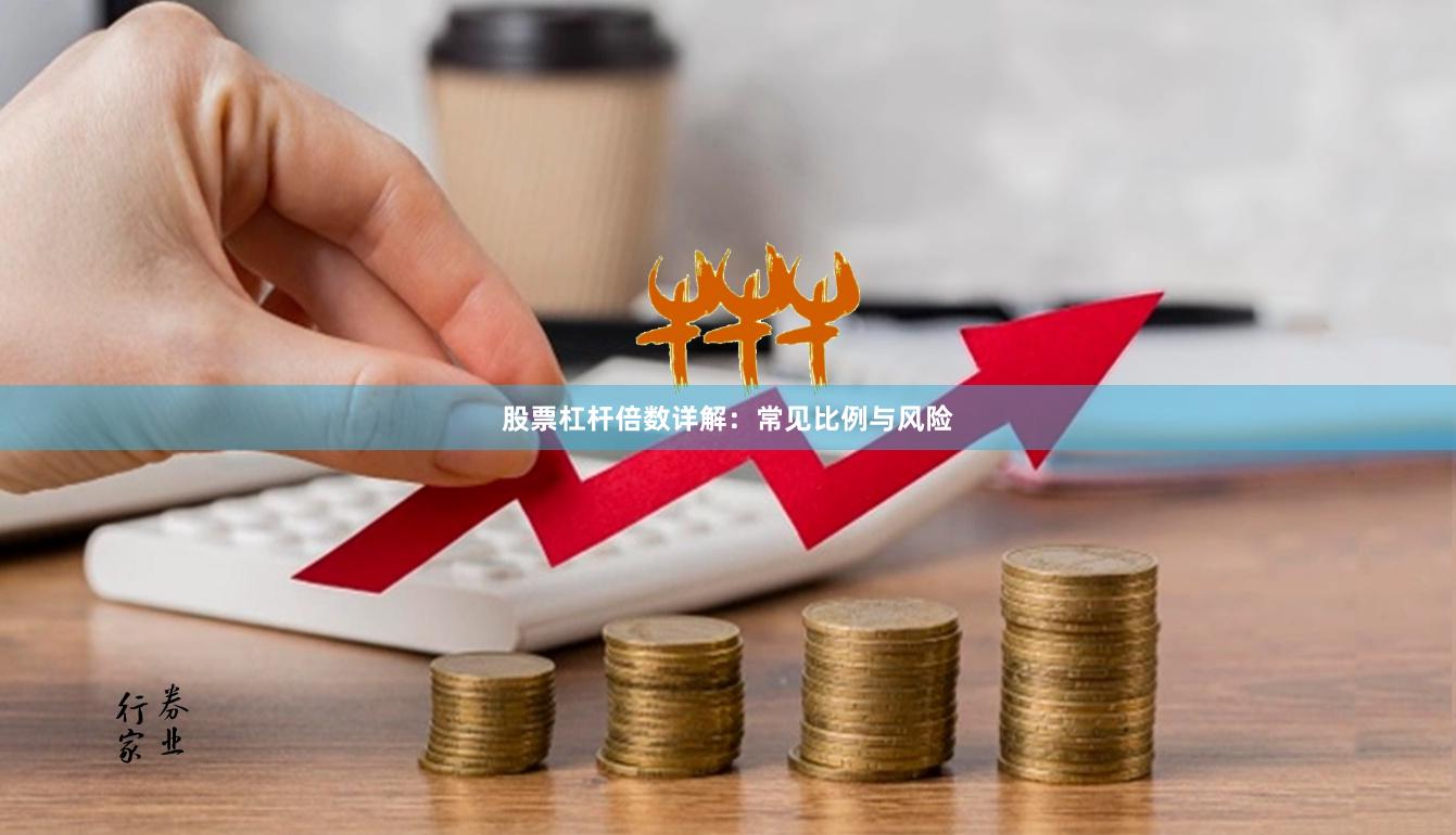 股票杠杆倍数详解：常见比例与风险