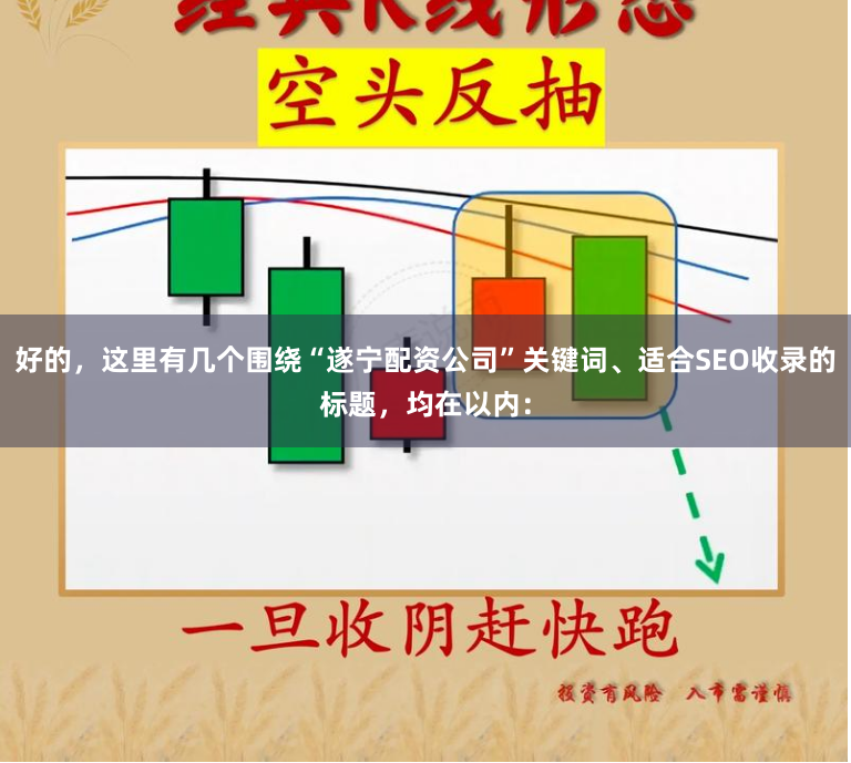 好的，这里有几个围绕“遂宁配资公司”关键词、适合SEO收录的标题，均在以内：