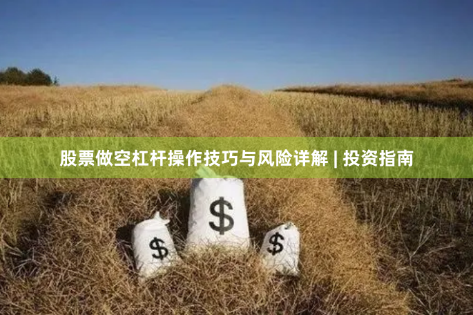 股票做空杠杆操作技巧与风险详解 | 投资指南